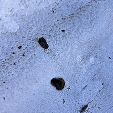 Silicone Coating in Cottonwood, AZ 7